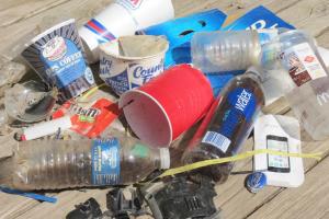 today's litter finds